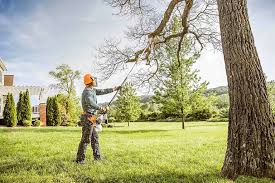 Lawn Irrigation Installation and Maintenance in Salmon, ID